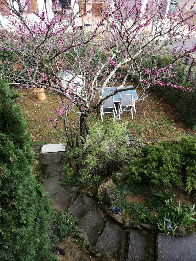 Calme De 48m2 Apartamento